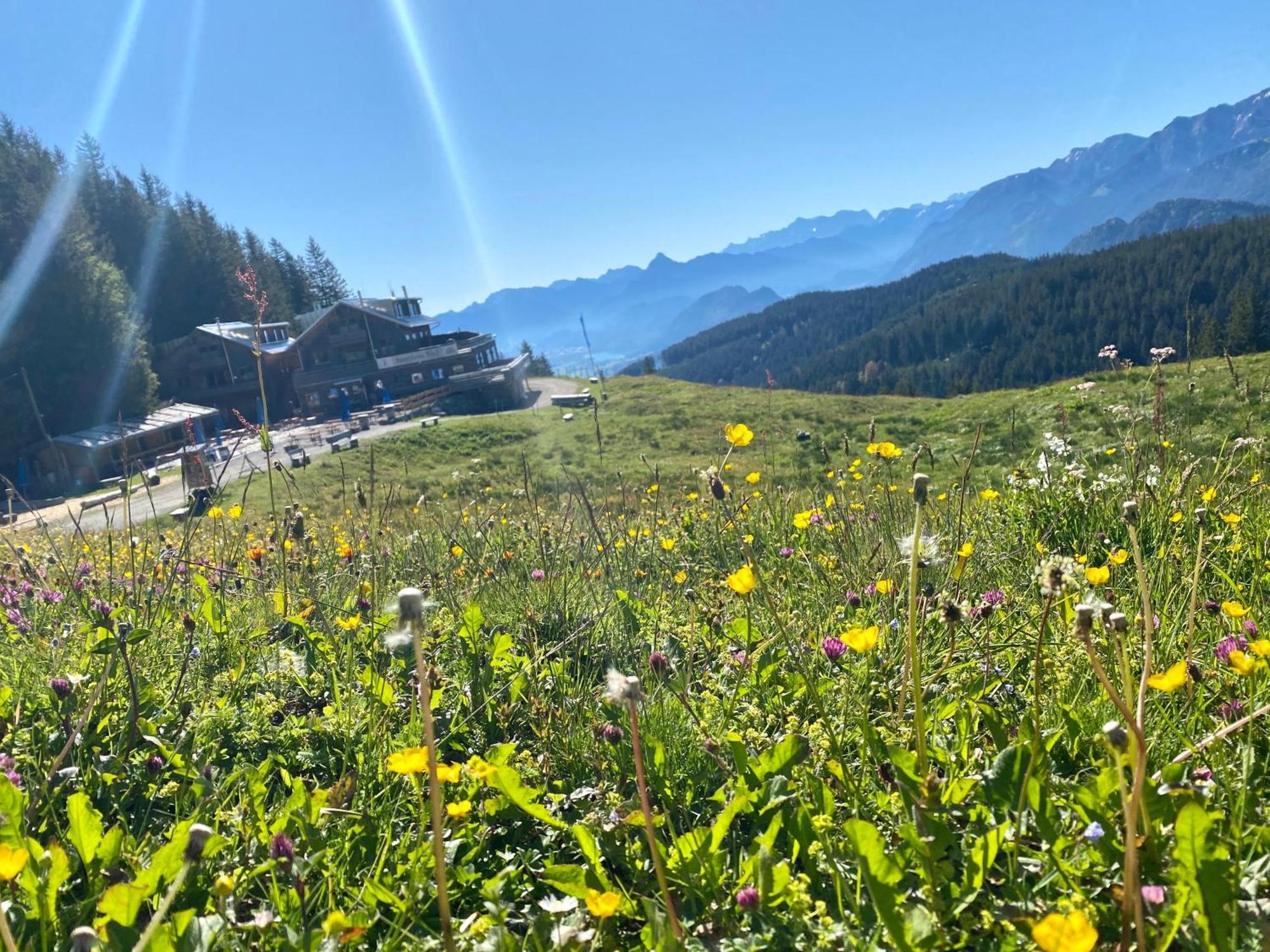 Ferienhaus Sommer Pfronten Extérieur photo